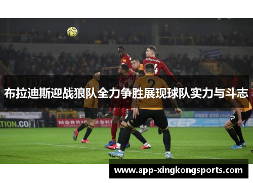 布拉迪斯迎战狼队全力争胜展现球队实力与斗志